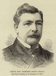 Señor Don Domingo Santa Maria