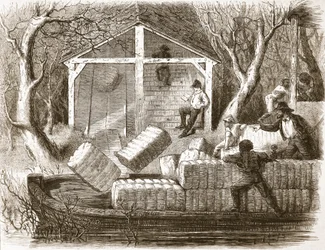 Tir de balles de coton dans la partie avant du bateau à vapeur Magnolia, illustration de The Illustrated London News, 1861