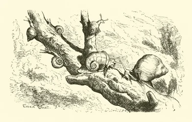 Six petits escargots