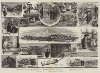 Croquis dans une usine de dynamite (gravure)