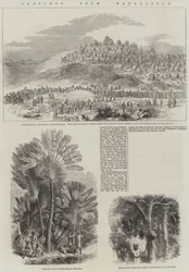 Croquis de Madagascar (gravure)