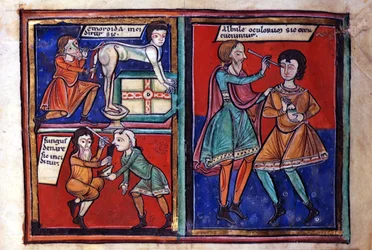 Sloane Ms 1975 fol.93 Opérations médicales