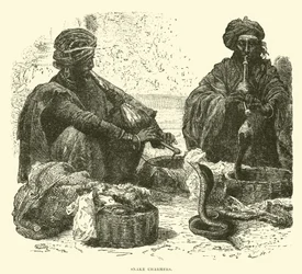 Charmeurs de serpents