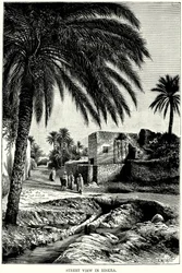 Vue de la rue à Biskra (gravure)