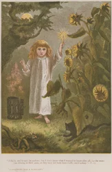 Tournesols et une chandelle