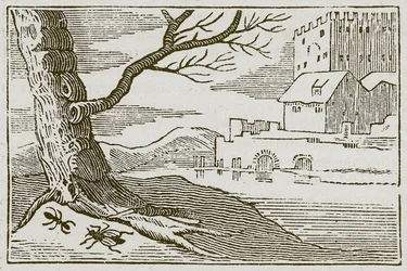 La fourmi et la mouche (gravure)