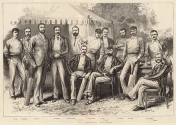 Les Cricketers australiens