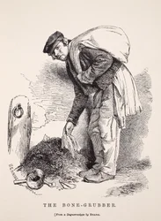 Le ramasseur d