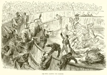 Le taureau sautant la barrière