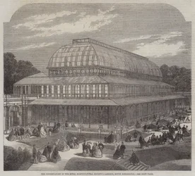La serre dans les jardins de la Royal Horticultural Society, South Kensington (gravure)