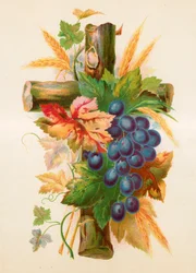 La Croix