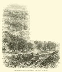Le Jardin de Gethsémani, depuis les pentes d
