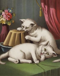 Le chaton gourmand