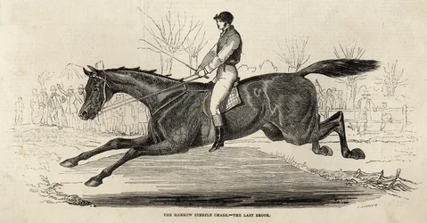 La course de steeple-chase de Harrow : Le dernier ruisseau, de 