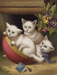 Le Chaton joyeux