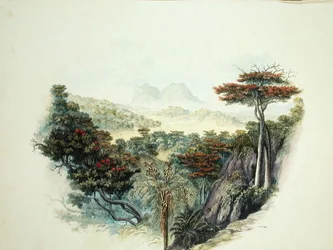 Les montagnes, Ceylan
