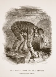 Les chasseurs de rats des égouts, d