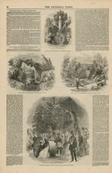 Les jardins botaniques royaux