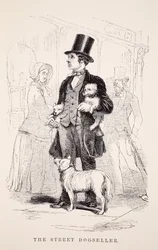 Le vendeur de chiens de rue, illustration de London Labour and London Poor par Henry Mayhew, pub. 1862