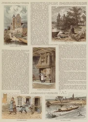 Les errances du scarabée