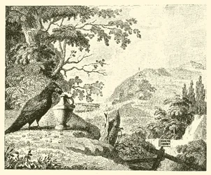 Le corbeau et le pichet