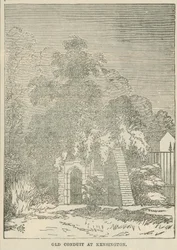 Le vieux conduit à Kensington