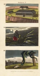 Le palais du roi du Dahomey à Abomey, un homme africain cachant un fétiche et des habitants de Whydah adorant un énorme serpent