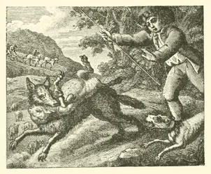 Le garçon de berger (gravure)