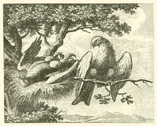 Le cerf-volant malade (gravure)