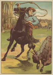La palissade