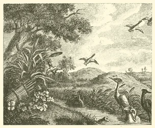 Les deux pots