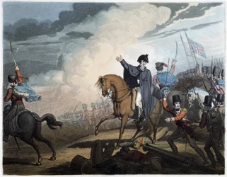 Les victoires du duc de Wellington (d