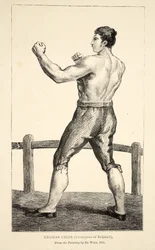 Thomas Cribb, champion d