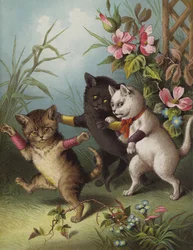Trois petits chatons dans un jardin