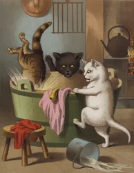 Trois petits chatons jouant avec une bassine