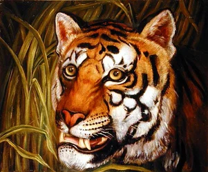 Tigre, tigre brûlant...