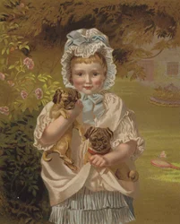 Petits animaux