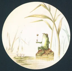 Crapaud assis sur un rocher dans l
