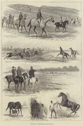 Entraînement à Newmarket (gravure)