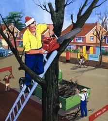 Chirurgien des arbres