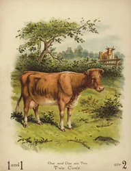 Deux vaches