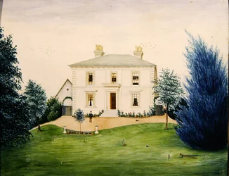 Vue d