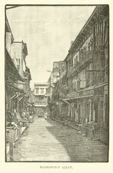Allée Washington