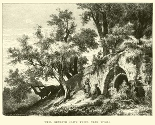 Puits sous les oliviers près de Tivoli