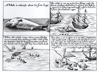 Chasse à la baleine à Spitzbergen en 1611