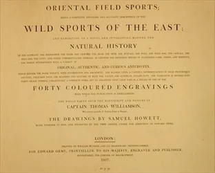 Sports sauvages de l