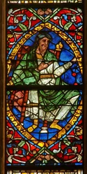 Fenêtre représentant une figure généalogique : Salomon