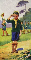 Louveteau, 1923