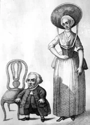 Wybrand Lolkes, illustration dans 
