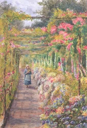 Jeune fille marchant sous une pergola de roses
